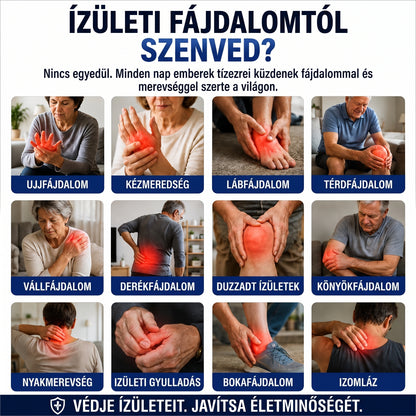 DR.HONOR® Mentol · Árnika · Ördögkarom 10 az 1-ben Ízület- és Izomápoló Roll-On | Köszvény, Ízületi Merevség, Duzzanat és Izomfájdalom Esetén | Gyorsan Felszívódó, Nem Zsíros